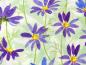 Preview: Patchworkstoff Clothworks aus der Serie Flowershop lila Blüten auf zartgrün  Detailansicht